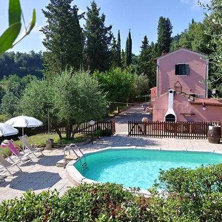 Podere Il Leccione Palaia Kültér fotó