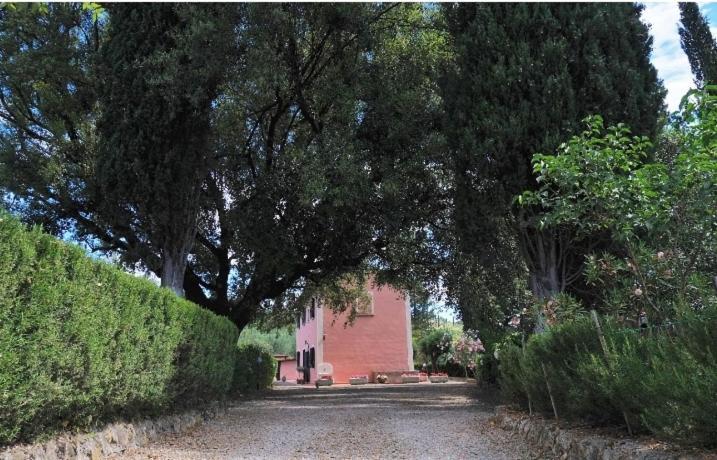 Podere Il Leccione Palaia Kültér fotó