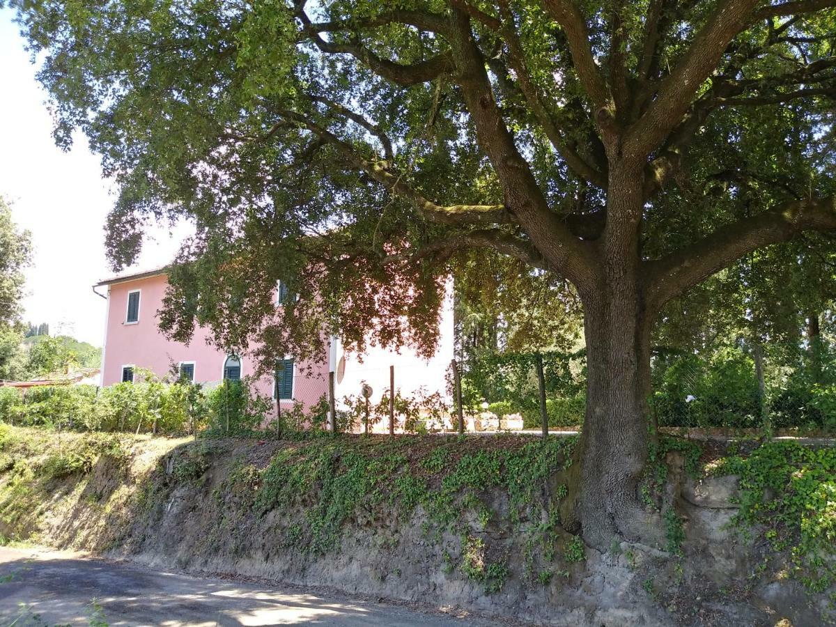 Podere Il Leccione Palaia Kültér fotó