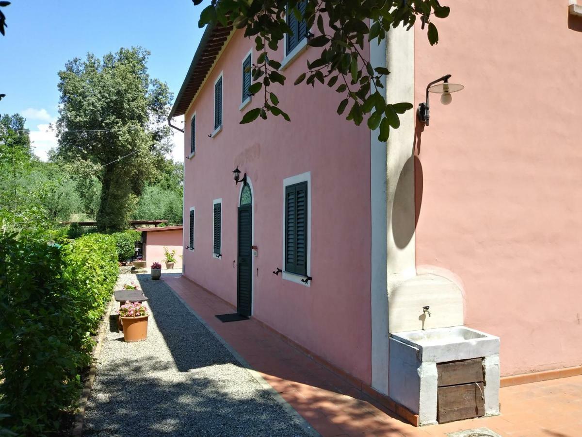 Podere Il Leccione Palaia Kültér fotó